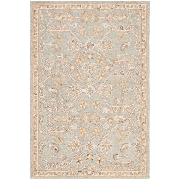 Blossom Slate/Beige 4 ft. x 6 ft. Antique Border Floral Area Rug