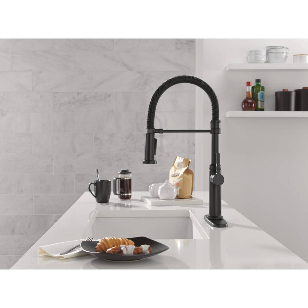 Matte Black Commercial Style Kitchen Faucet with Pull Down Sprayer