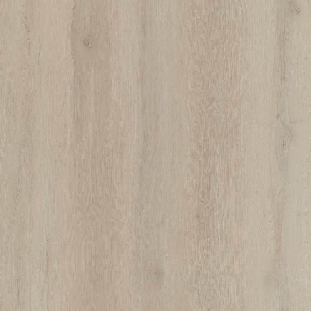 Take Home Sample - Lemberg Cove Oak Waterproof Luxury Vinyl Plank Flooring price history on PriceWatchPro