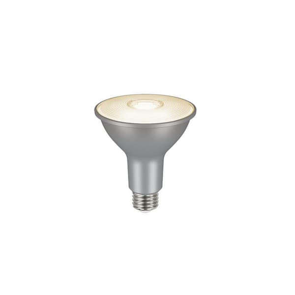 Photo 1 of 75-Watt Equivalent PAR30 Dimmable Flood LED Light Bulb Bright White (2-Pack)