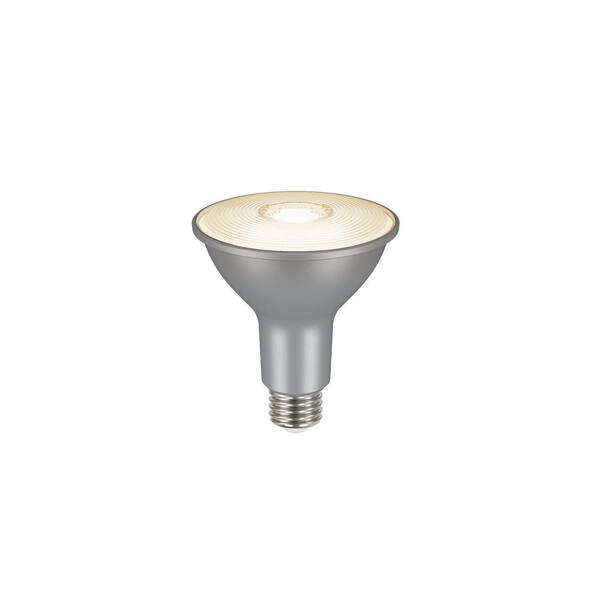 home depot par 30 led