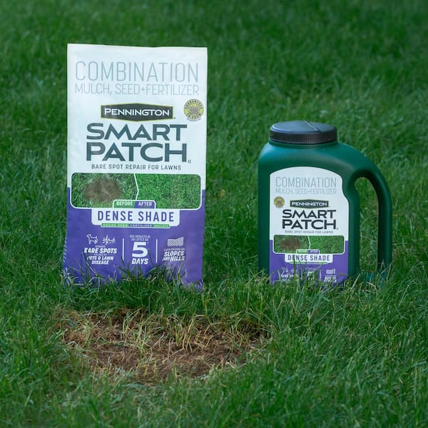 Pennington Smart Patch Dense Shade 10 lb. 200 sq. ft. Grass Seed 