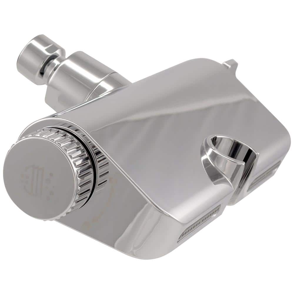 Chrome 10-Function Handheld Shower with Filter and Wall Mount