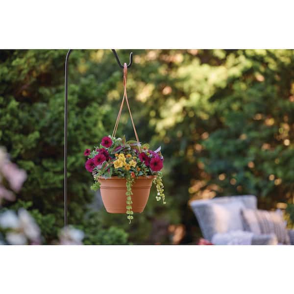 12 in. Mirabelle Clay Plastic Hanging Basket Planter (12 in. D x 7.2 in. H) With Drainage Hole
