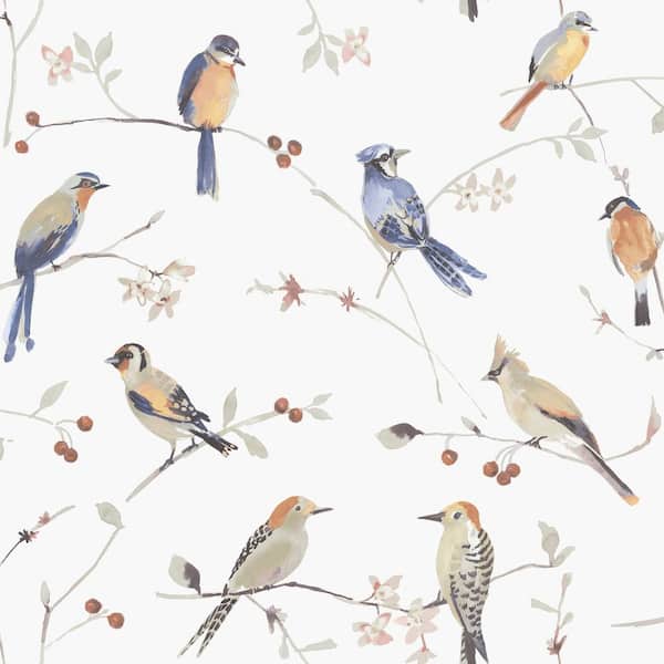 Birdsong Orange Paper Pre-Pasted Matte Trail Strippable Wallpaper