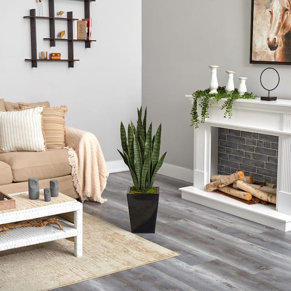 Nearly Natural 40 in. D Sansevieria Artificial Plant in Black