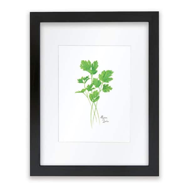 Unbranded Nature's Lace 2 "Parsley" by Alyssa Lewis Individual Black Framed with Mat Nature Art Print 24 in. x 18 in.