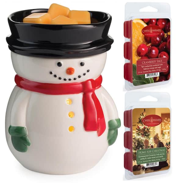 Candle Warmers Odor Eliminating Candle Wax Melts – Good's Store Online