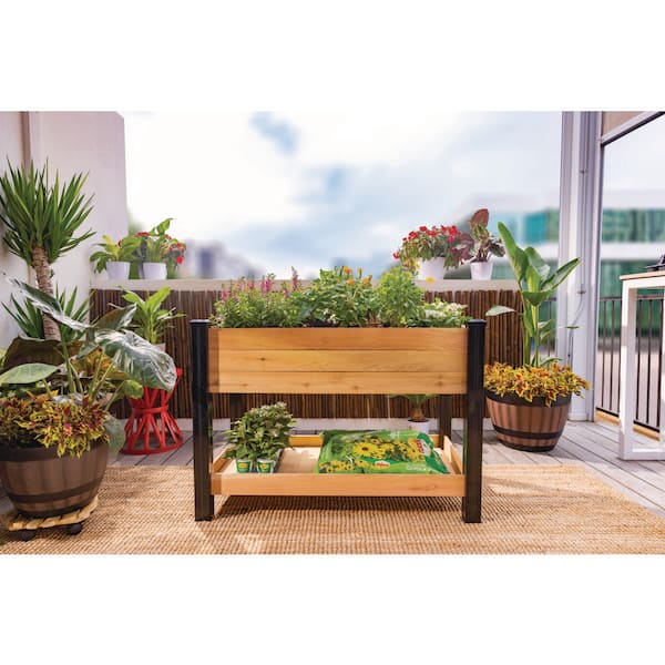 Vigoro 2 ft. x 4 ft. Elevated Cedar Garden Bed with Shelf Vigoro 2 ft. x 4 ft. Elevated Cedar Garden Bed with Shelf