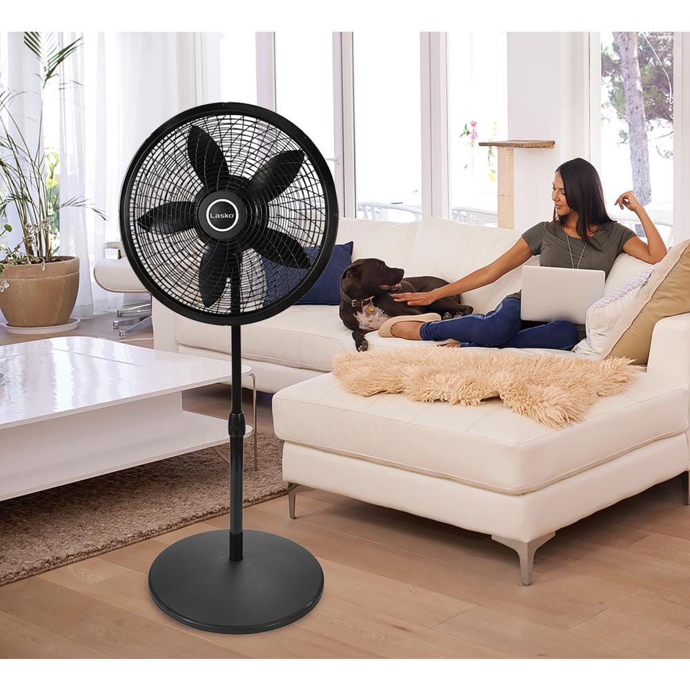 Black Adjustable Height Remote Controlled Oscillating Pedestal Fan