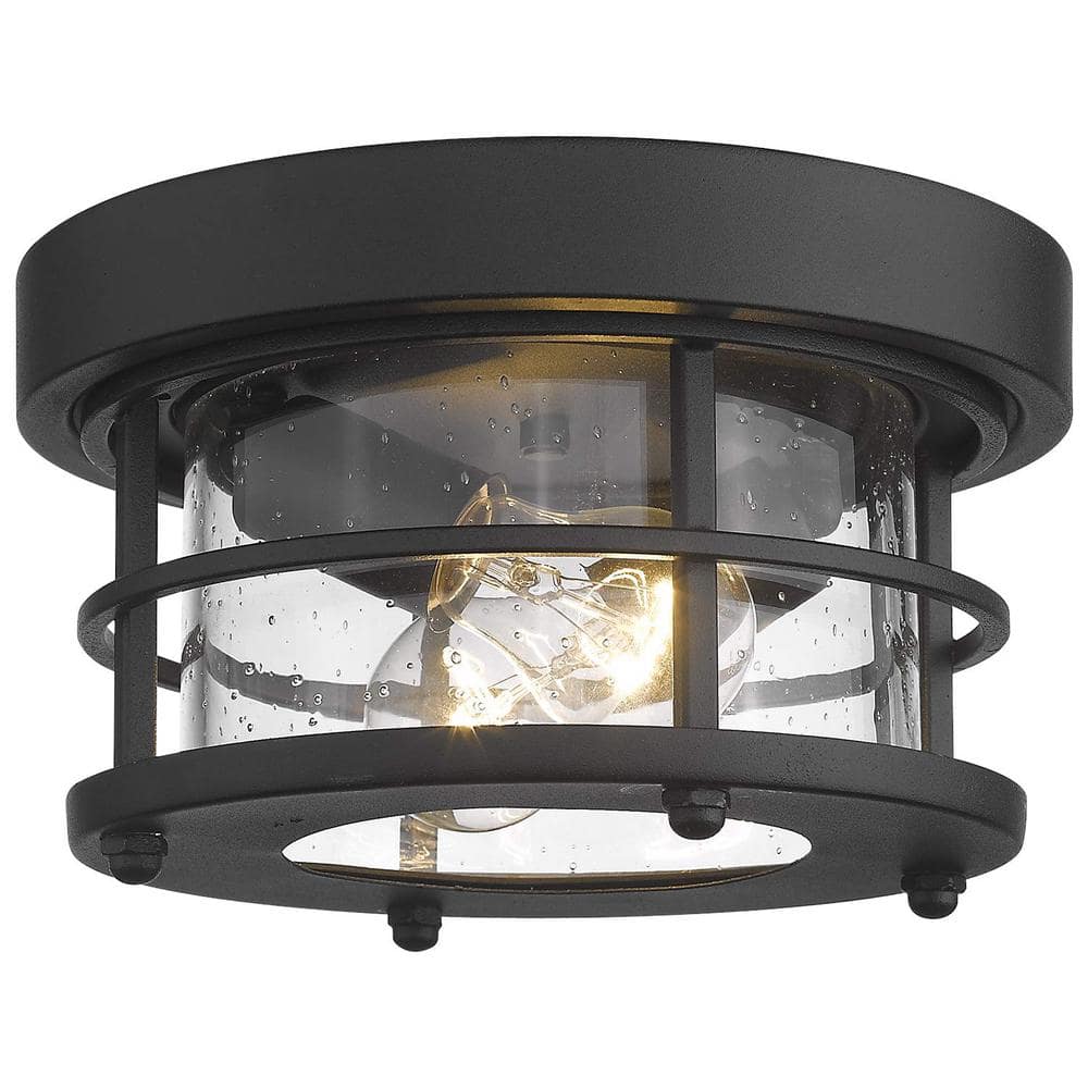 10 in. 2-Light Black Flush Mount Farmhouse Ceiling Light with Seeded Glass price history on PriceWatchPro