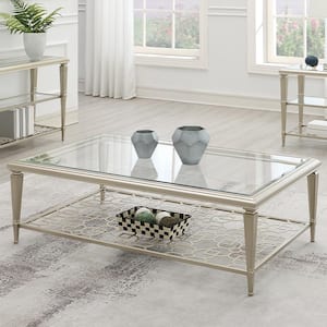 Zaba 54 in. Glass Top & Silver Finish Rectangle Metal Coffee Table with No Additional Features