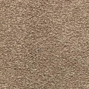 Unblemished II  - Sandalwood - Brown 55 oz. Triexta Texture Installed Carpet