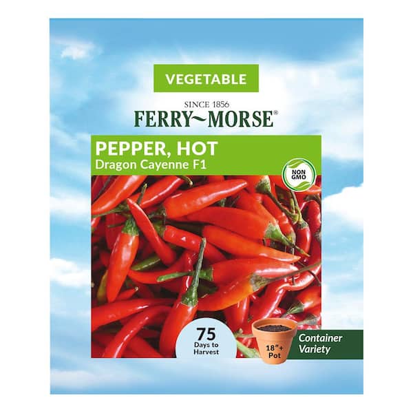 Ferry-Morse Pepper Dragon Cayenne F1 Fruit Seed