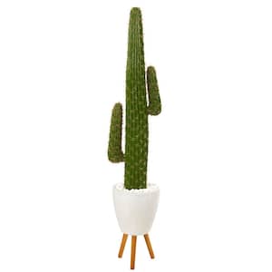 5.5ft. Cactus Artificial Plant in White Planter with Stand
