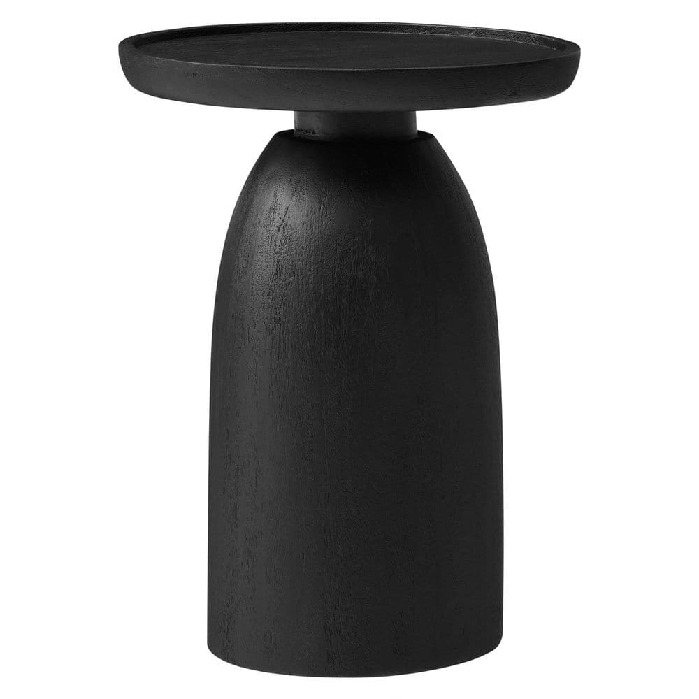 Holloway Solid Mango Wood Side End Table in Black price history on PriceWatchPro