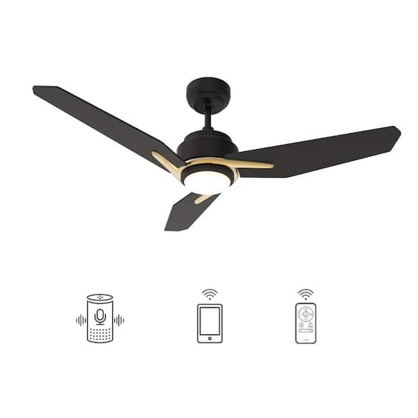CARRO Tilbury 48 in. Integrated LED 