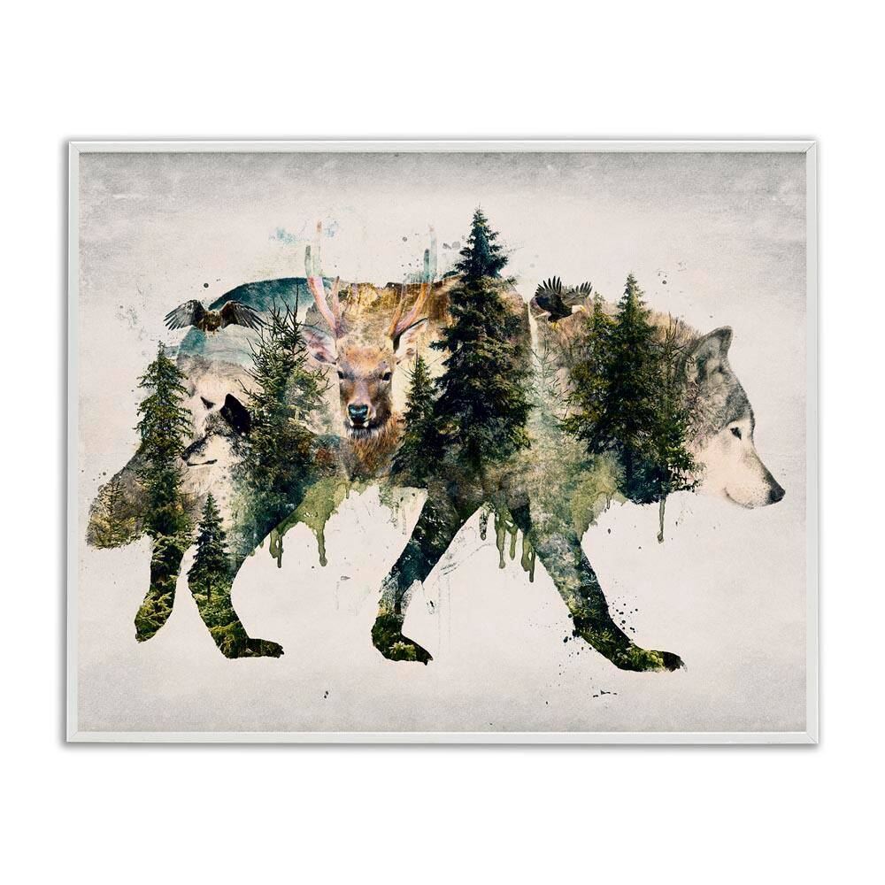 Woodland Wildlife Wolf Contour by Barrett Biggers White Framed Animal Giclee Art Print 24 in. x 30 in. price history on PriceWatchPro