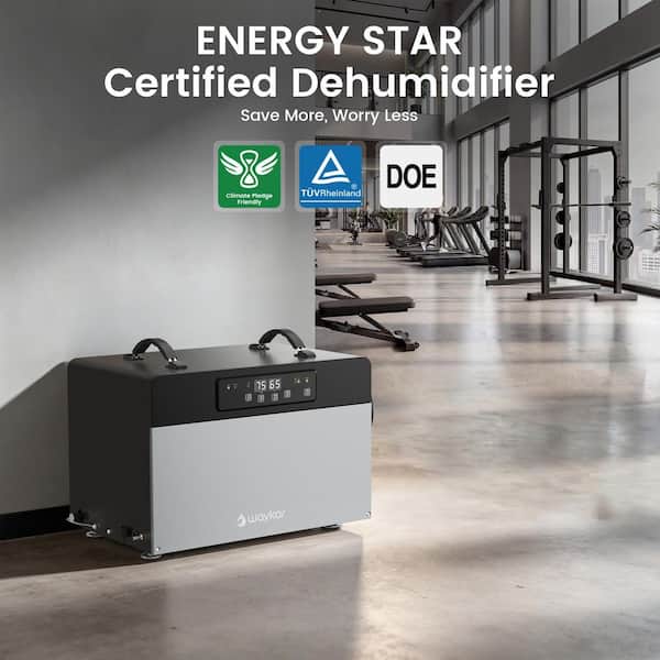 125 pt. 6500 sq. ft. Commercial Dehumidifier with Built-in Pump&Drain Hose for Crawl Space, Basement and Garage in Black