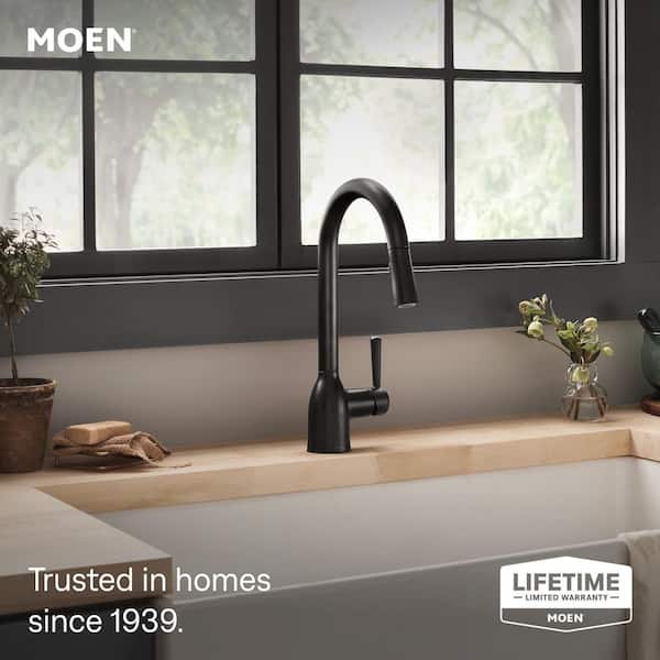 Adler Single-Handle Pull-Down Sprayer Kitchen Faucet with Reflex and Power Clean in Matte Black