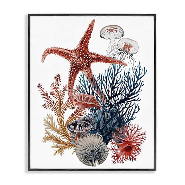 Stupell Industries Natural Aquatic Sea Creatures by Ramona Murdock Black Framed Animal Giclee Art Print 20 in. x 16 in.