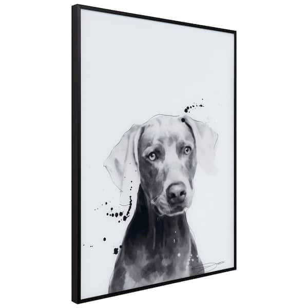 Empire Art Direct Persian B and W Pet Paintings on Printed Glass Encased  with a Gunmetal Anodized Frame Animal Art Print, 24 in. x 18 in.  AAGB-JP1050-2418 - The Home Depot