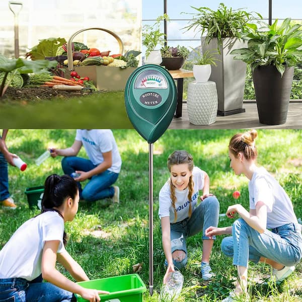6 Pack Soil Moisture Meter Soil Tester pH Meter, Gardening Farm Lawn Test  Kit Tool, Digital Plant Probe, Water Hydrometer for Indoor Outdoor, No