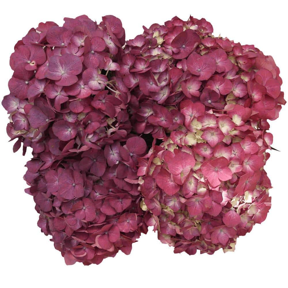 Pink Single Stem Hydrangea Silk Flower, 28 - Fisch Floral Supply