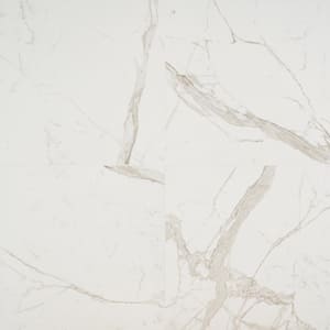 Stazzema Staturio 24 in. x 24 in. x 10mm Matte Porcelain Floor and Wall Tile (4 pieces / 15.50 sq. ft. / box)