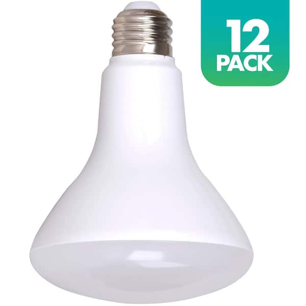 Simply Conserve 100-Watt Equivalent R40 Dimmable Warm White 25000-Hour LED-Light Bulb (12-Pack)