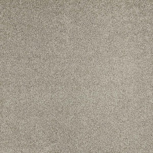 Phenomenal II  - Fossil Stone - Gray 62.7 oz. Triexta Texture Installed Carpet