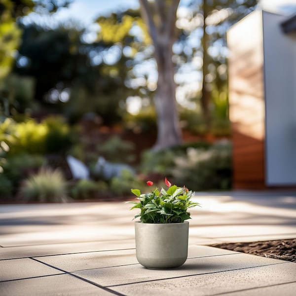 11.5 in. Small Light Gray Concrete Round Planter / Pot with Drainage Holes