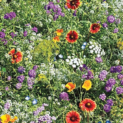 EARTH SCIENCE 2 lbs. Pollinator All-In-One Wildflower Mix with Seed, Plant  Food and Soil Conditioners 12136 - The Home Depot