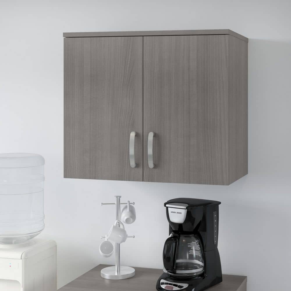 Universal Platinum Gray 24.17 in. Accent Storage Cabinet with Doors and She