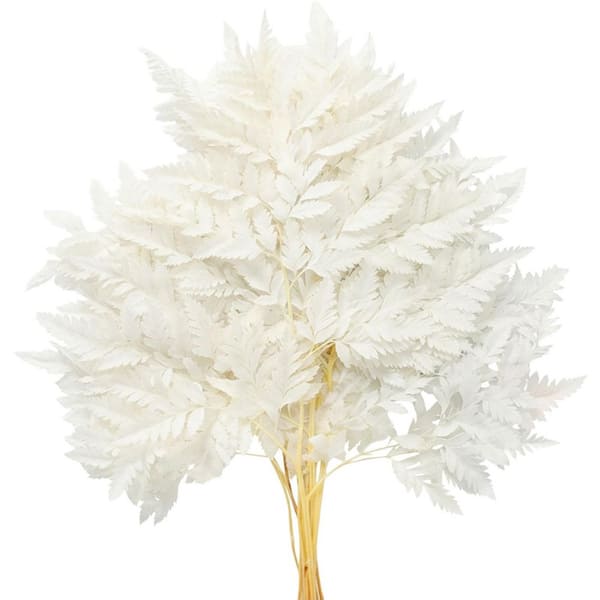 Afoxsos .2 in. White Artificial Fern Plant 10 pcs Natural Dried