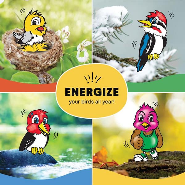 C and S Products High Energy Suet Value 8-Pack 100214412 - The