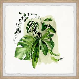 "Leafy Greens" by Marmont Hill Framed Nature Art Print 32 in. x 32 in.