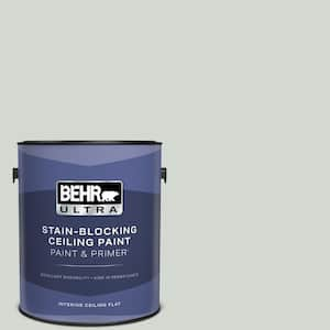 1 gal. #N410-2 Brook Green Ceiling Flat Interior Paint with Primer