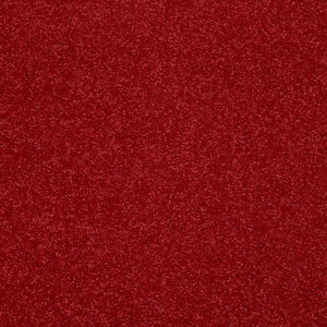 8 in. x 8 in. Texture Carpet Sample - Watercolors I - Color Cherry