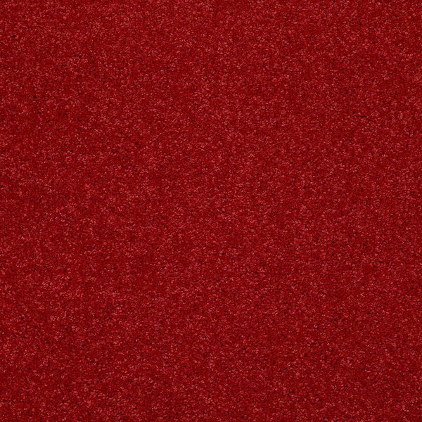 TrafficMaster 8 in. x 8 in. Texture Carpet Sample - Watercolors I - Color Cherry