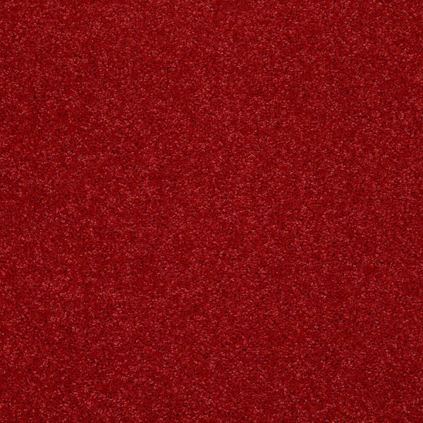 TrafficMaster 8 in. x 8 in. Texture Carpet Sample - Watercolors II - Color Cherry