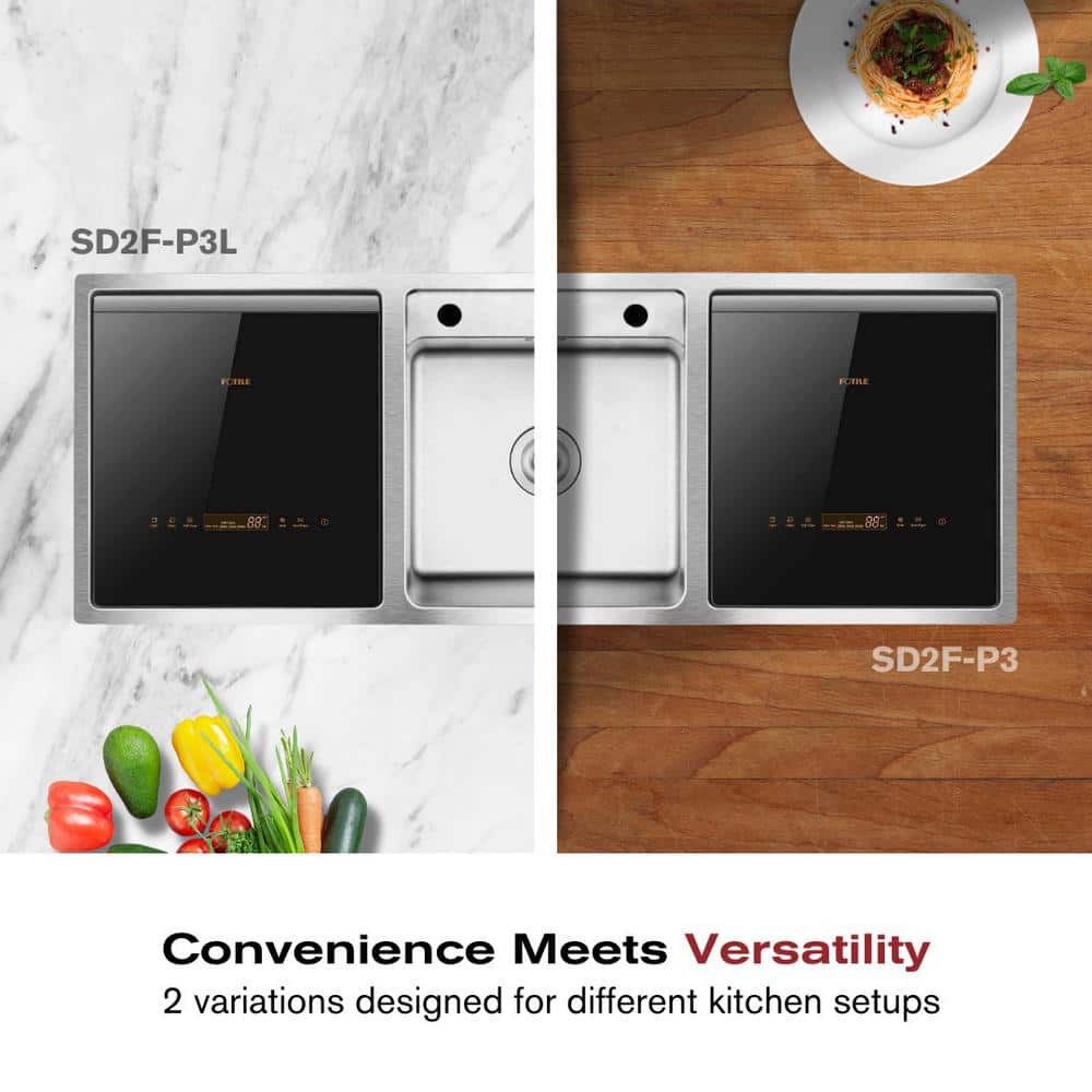 FOTILE Stainless Steel 2-in-1 In-Sink Dishwasher Combination
