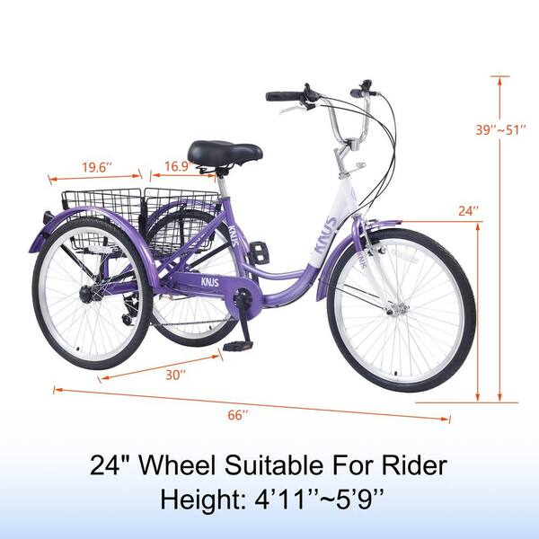 ebay trikes for adults