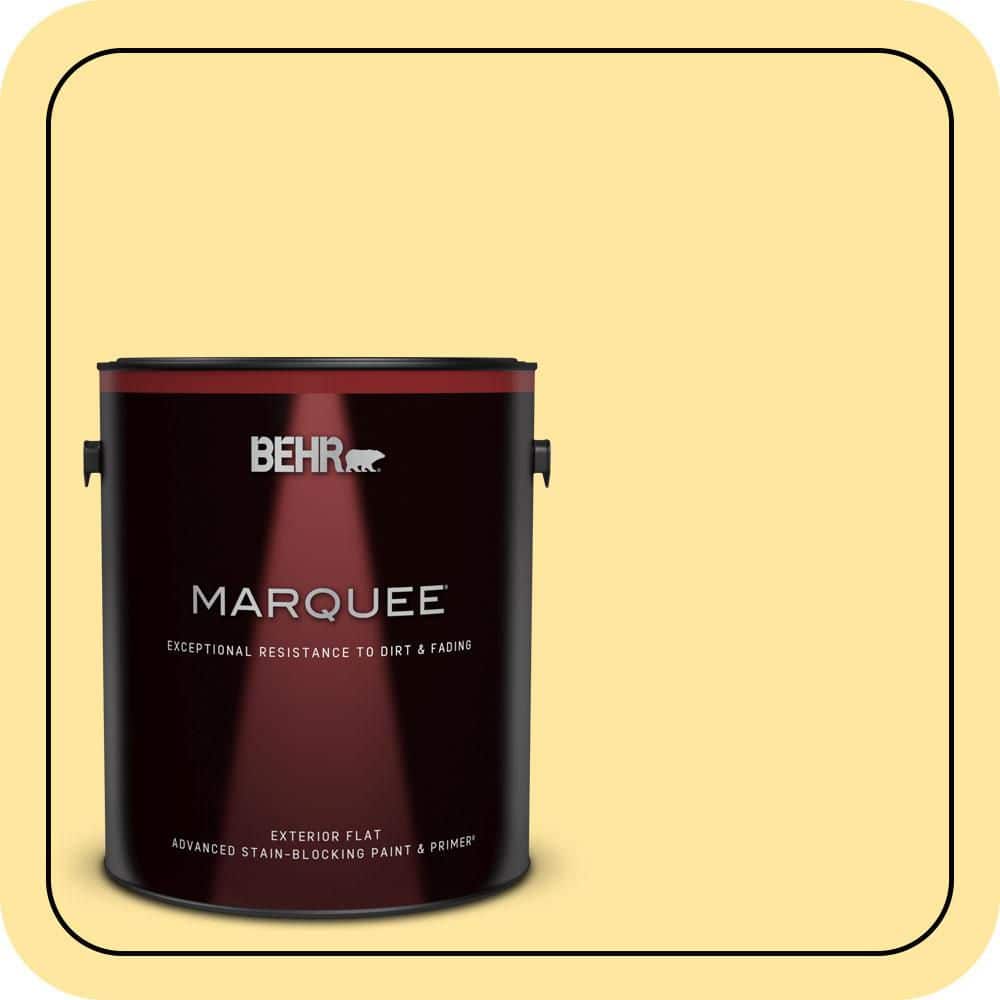 1 gal. #PMD-10 Equator Glow Flat Exterior Paint & Primer product image for price tracking