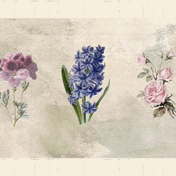 Falkirk Dandy II Beige Pink Purple Flowers Abstract Peel and Stick Wallpaper Border