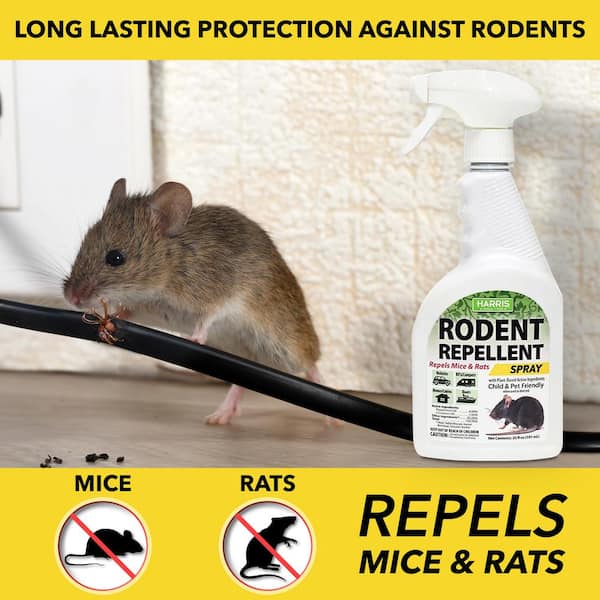 RIDDEX® Home Free Rodent Repellent, Keep Mice Away with Natural Essential  Oil Blend, Use Inside or Out