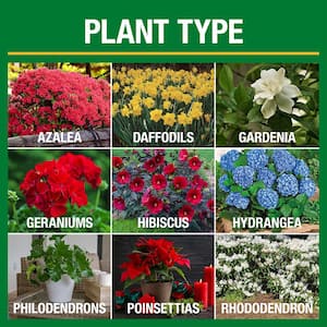 3.5 lb. All Season Bold Blooms Flowering Plant Food (15-30-15)