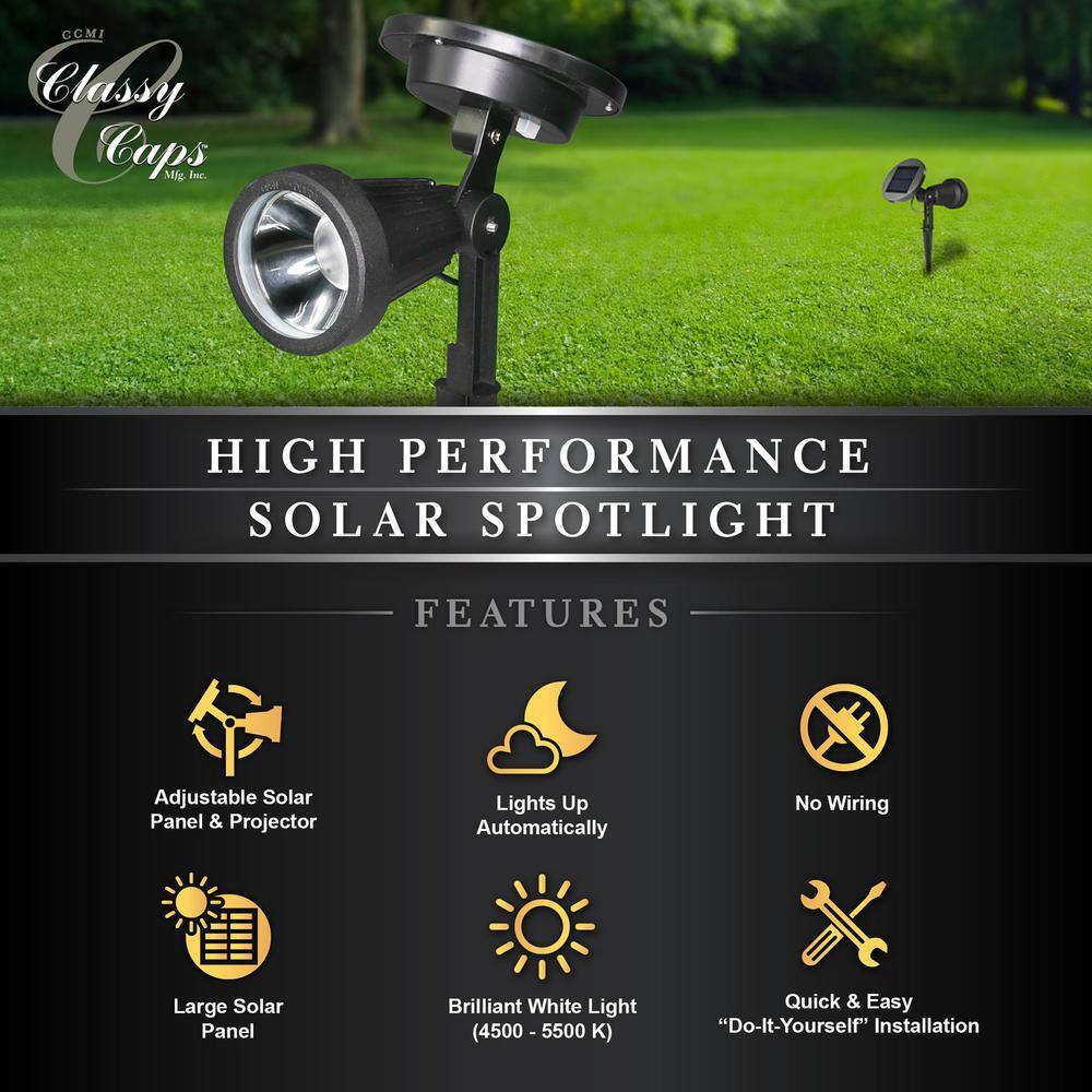 Black Aluminum Solar LED Landscape Spotlight