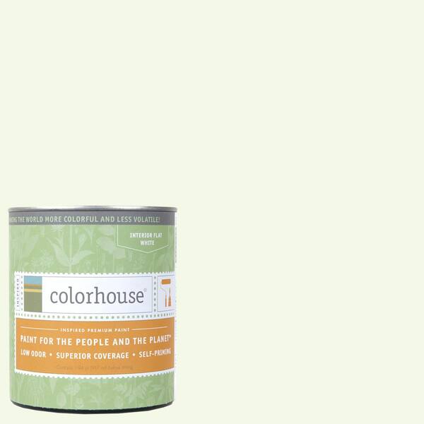 Colorhouse 1 qt. Imagine .03 Flat Interior Paint