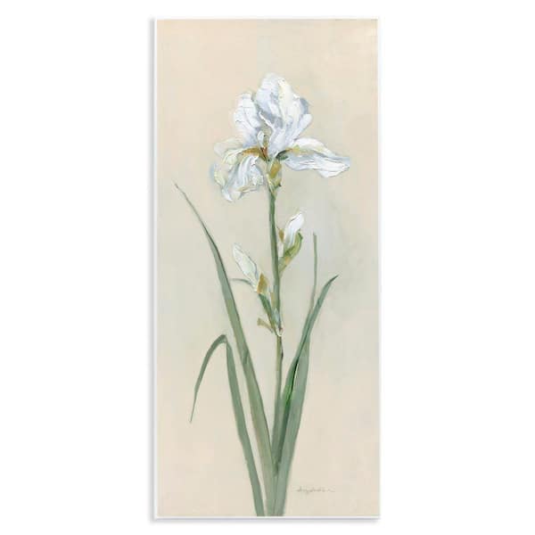 Stupell Industries White Iris on Beige by Sally Swatland Unframed Nature Graphic Art Print 17 in. x 7 in.